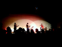 Xe[Wł̗lq